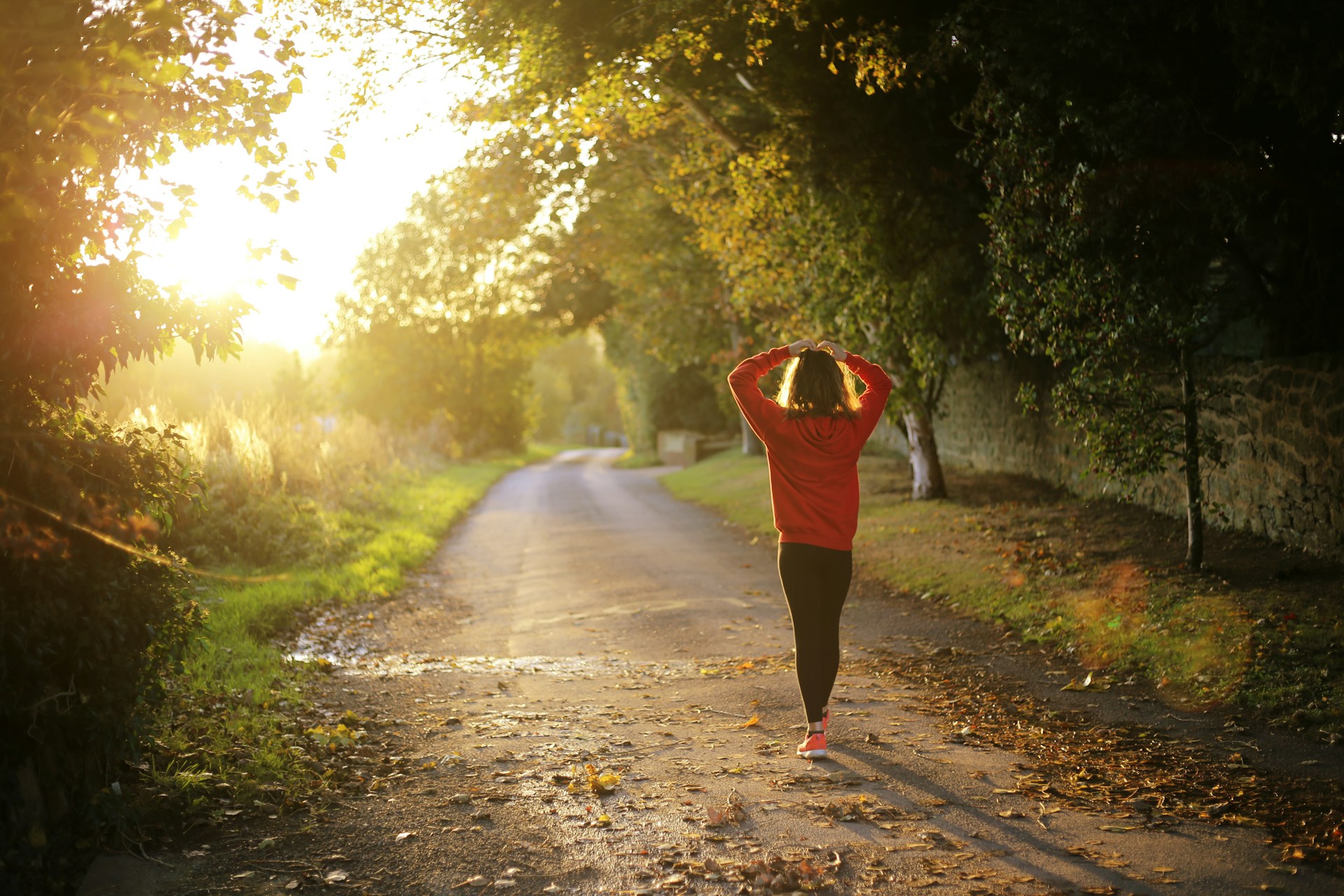 Person jogging on a quiet country path.